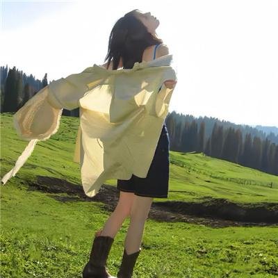 天山的红花